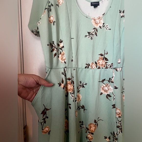 Mint Green Floral Textured Mini Skate Dress size 2 - Picture 3 of 9